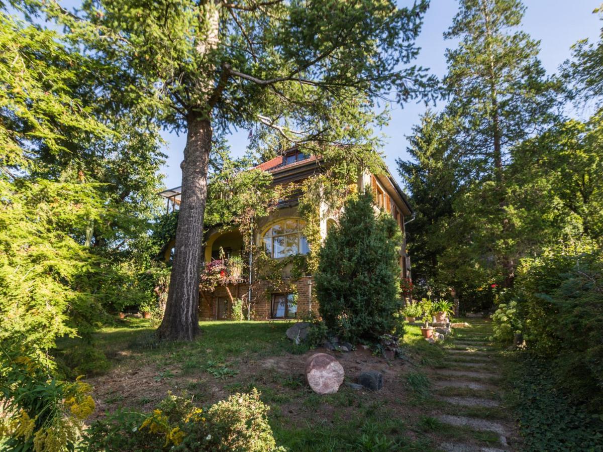 Ferienwohnung Dresden-Pillnitz - Elbhang-Villa - "Am Zuckerhut" Dış mekan fotoğraf
